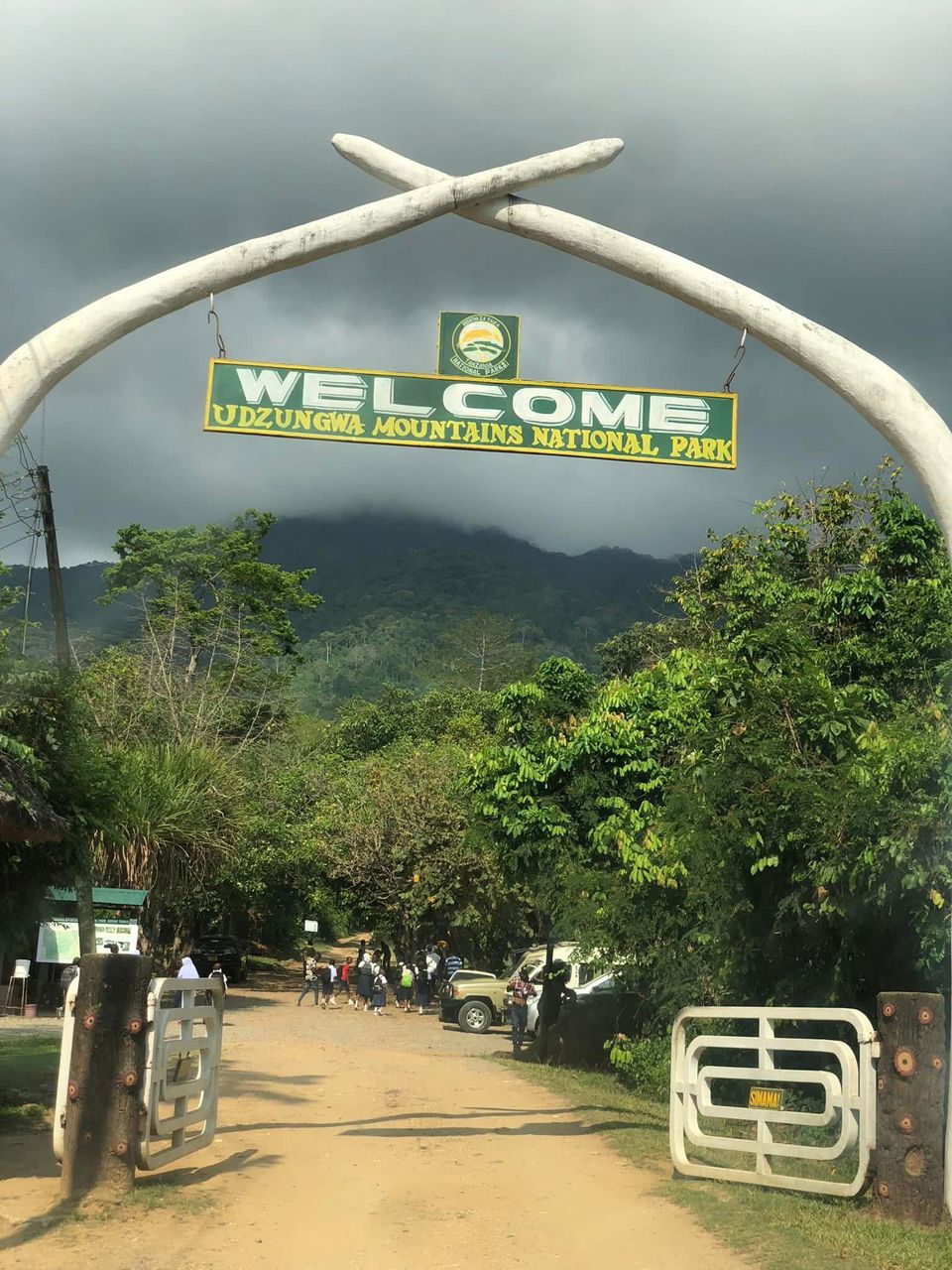 Udzungwa